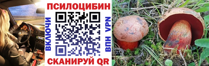 нарко площадка телеграм  Отрадное  Галлюциногенные грибы ЛСД  как найти закладки 